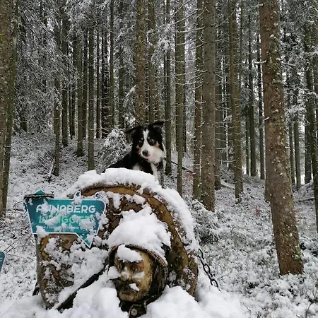 Kachelofenwohnung Pölzleitner Annaberg im Lammertal Exterior foto