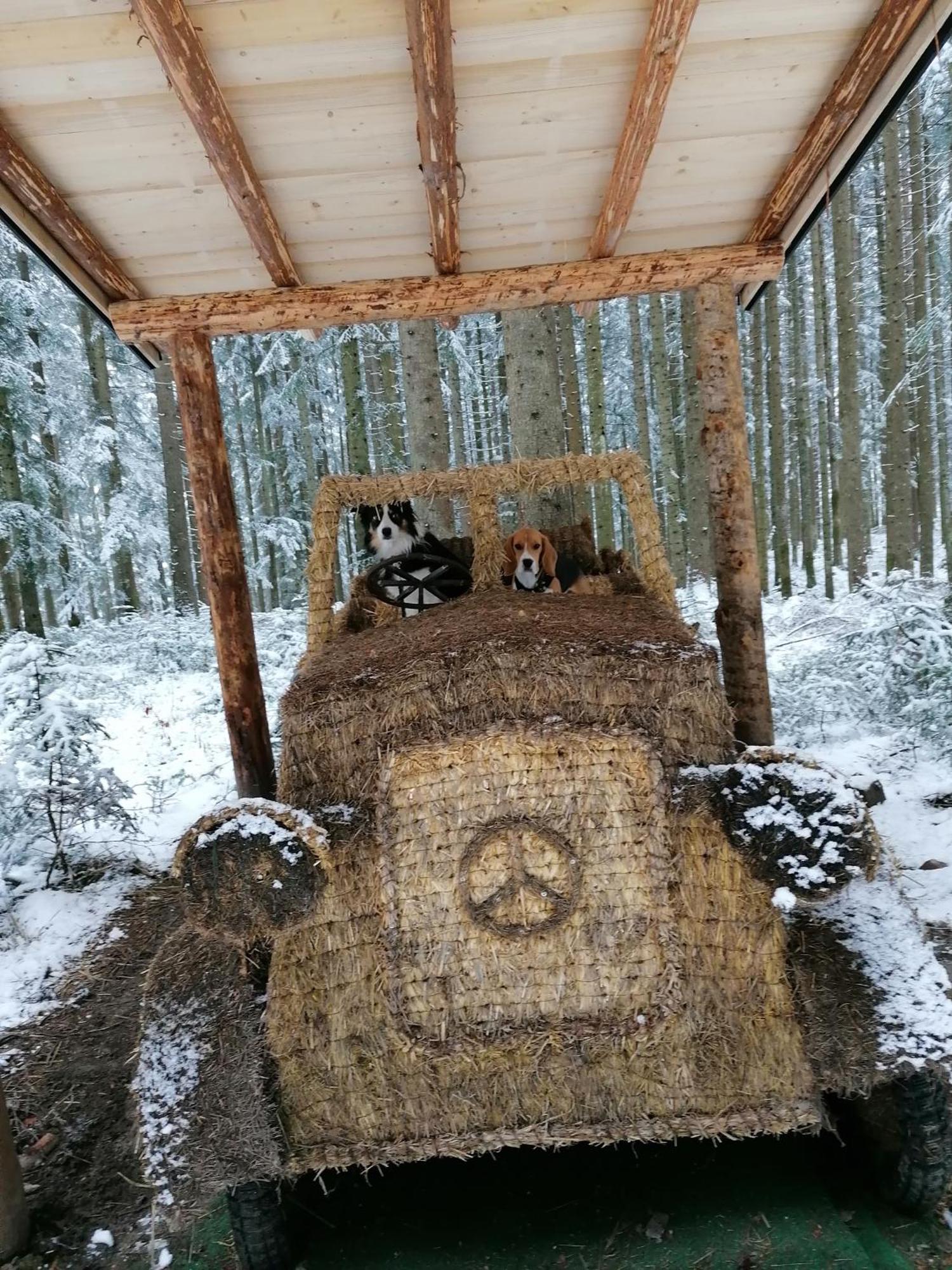 Kachelofenwohnung Pölzleitner