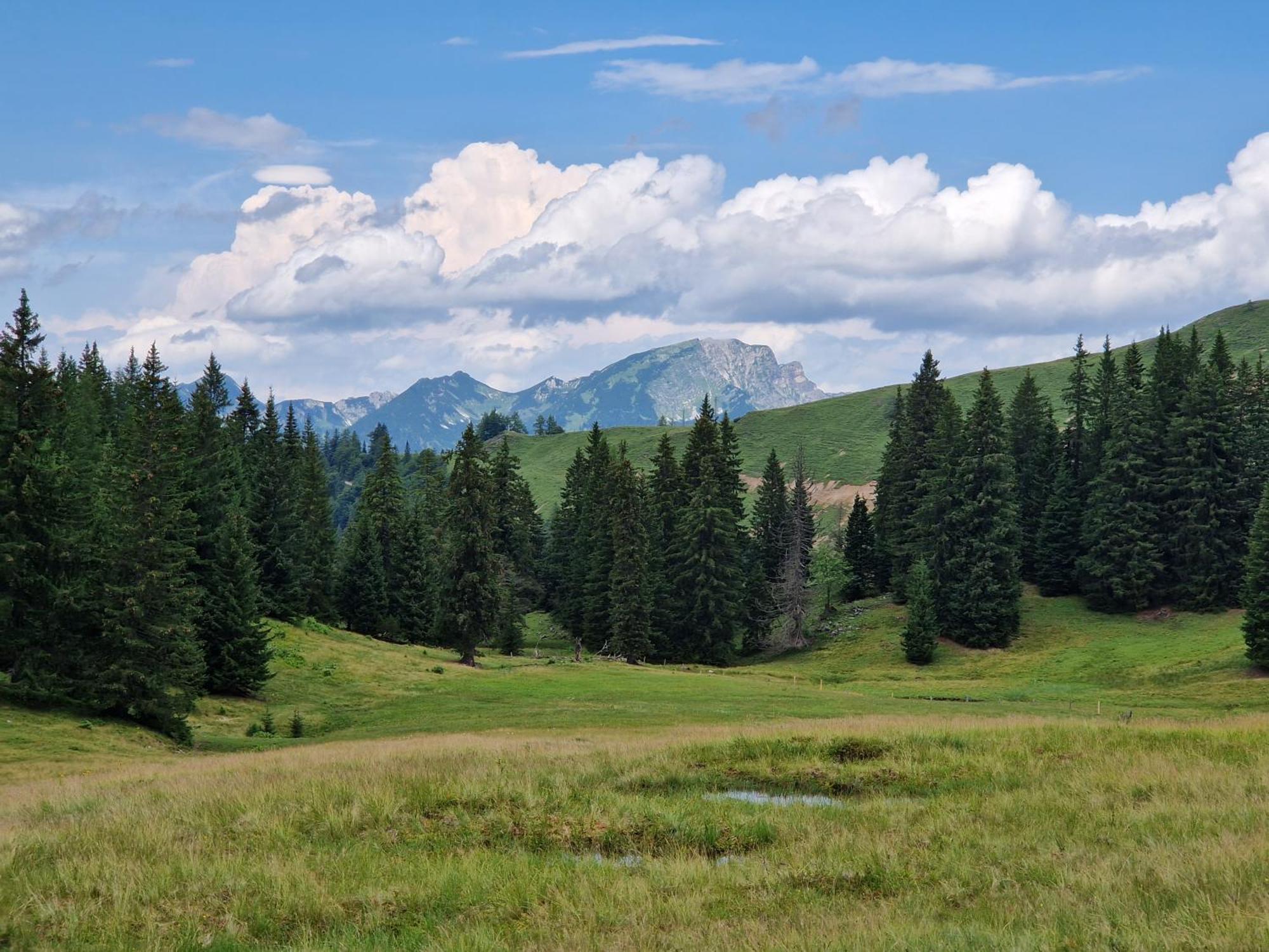 Kachelofenwohnung Pölzleitner * Annaberg im Lammertal