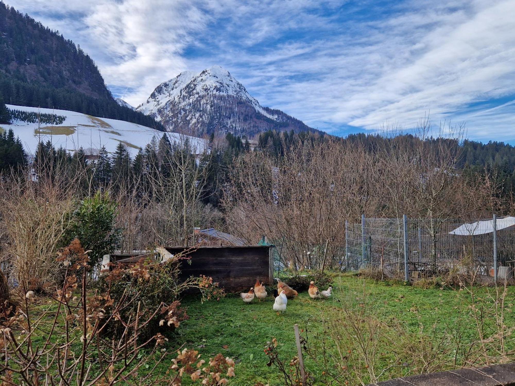 Kachelofenwohnung Pölzleitner Annaberg im Lammertal