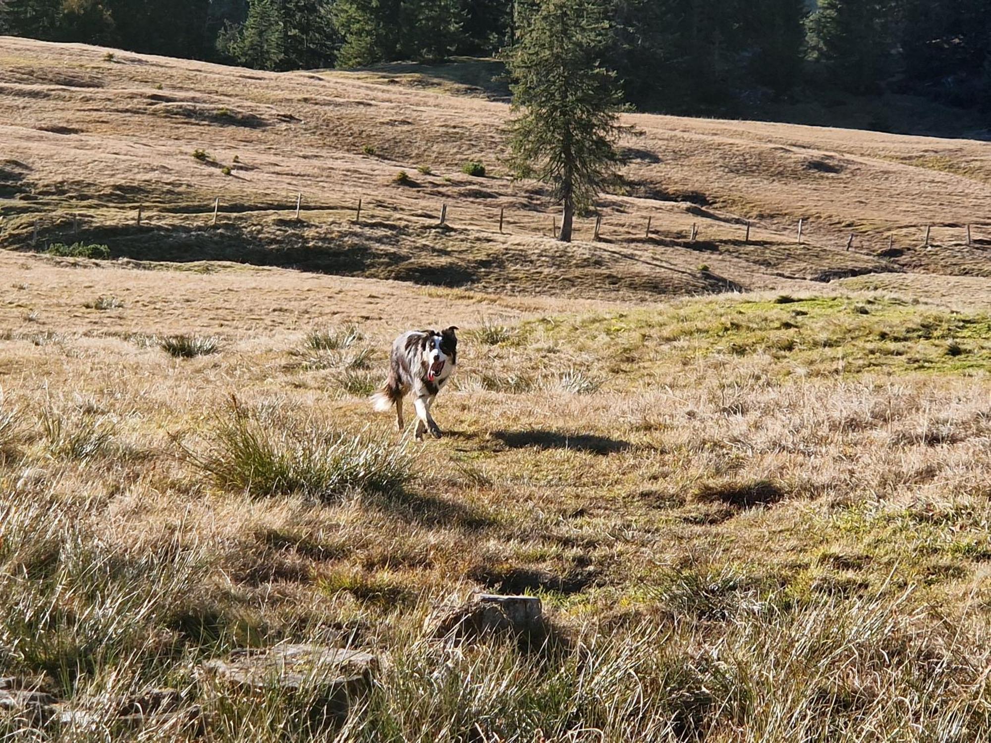 Kachelofenwohnung Pölzleitner * Annaberg im Lammertal